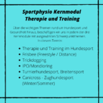 Kernmodul Therapie und Training