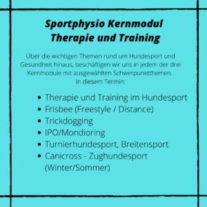 Kernmodul Therapie und Training
