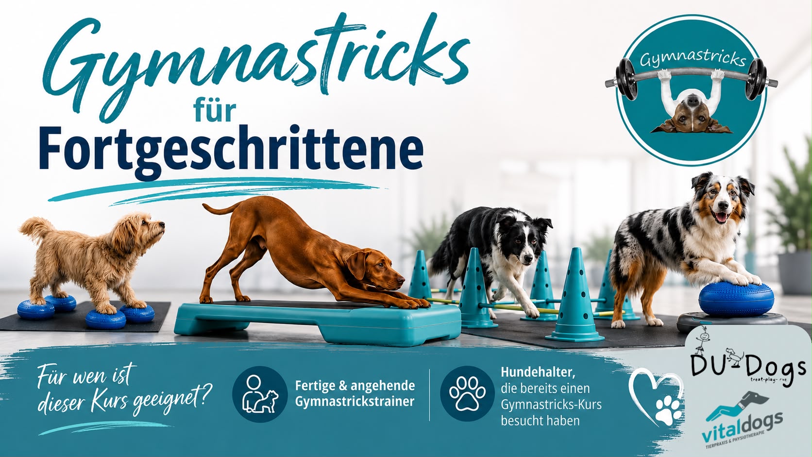 Gymnastricks Fortgeschrittene